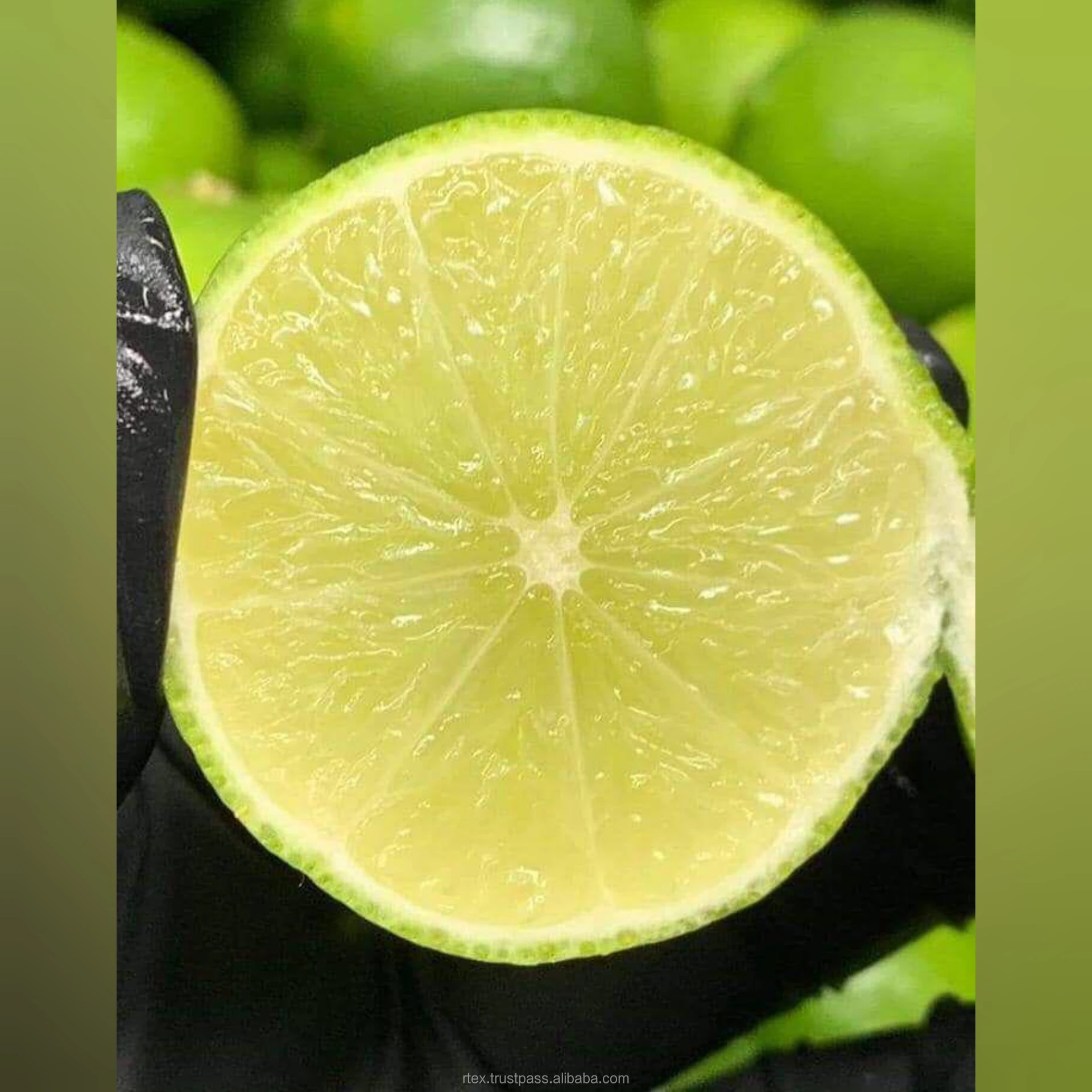 
FRESH SEEDLESS LIME / FRESH SEEDLESS LEMON GROWN IN INDIA OF GOOD QUALITY 