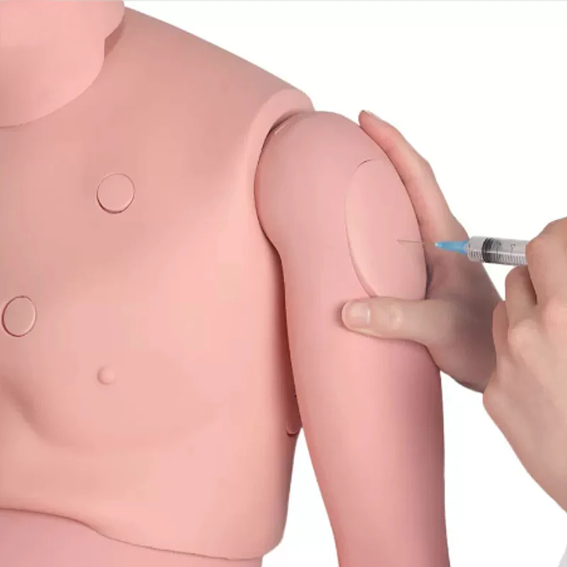 Advanced Training Multifunction Caregiver Model PVC Carton Box Medical Science  Manikins  whole Body HY  MM15 CN;HEN