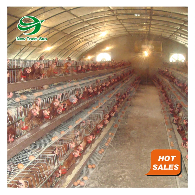 
automatic chicken cages poultry farming equipment heaters greenhouse 
