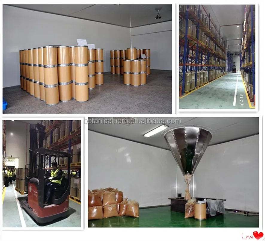 B.C.I поставляет оптом Омега-3 жирные кислоты докошахексаеновая кислота для использования Омега 3 Рыбное масло ДГК порошок глубоководное морских водорослей