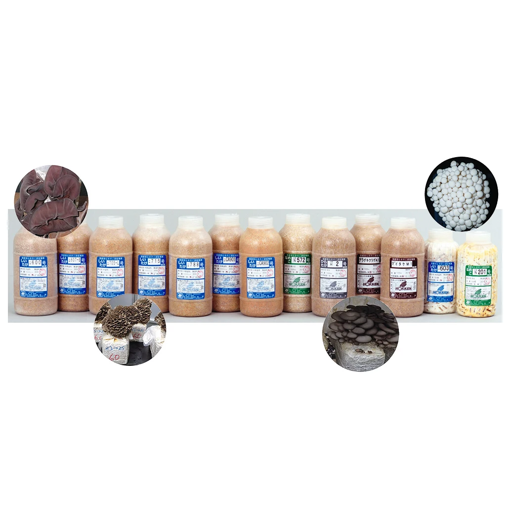 Inoculum for other mushrooms mushroom spawn inoculator cultivation machine growing