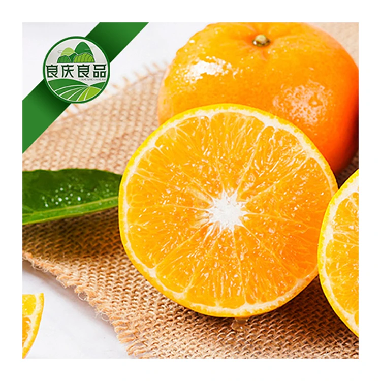Factory Direct Supply Delicious Organic Fresh Citrus Fruit Fresh Citrus Chinese Sweet Mandarin Oranges