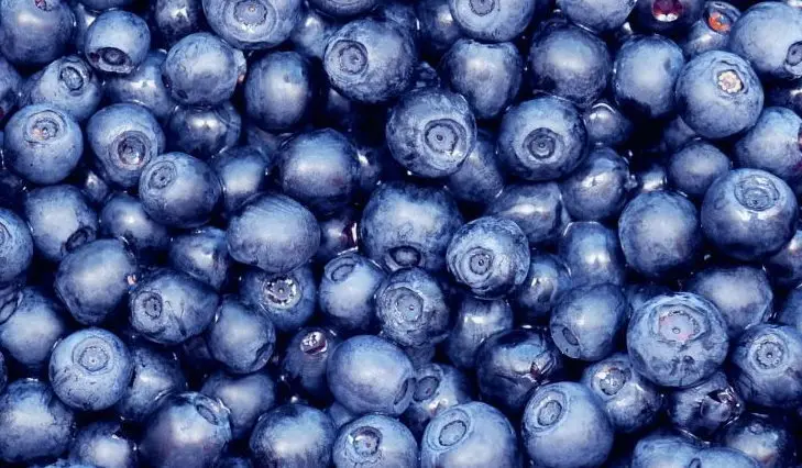 Fresh Berries Blueberry Cloudberry Cranberry Strawberry / Eco-Friendly Plastic Trays GOST Standard Prepackage
