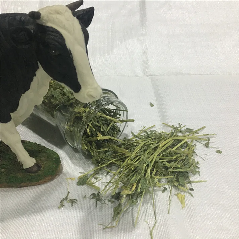 
big bales small bales Premium alfalfa hay for sale 