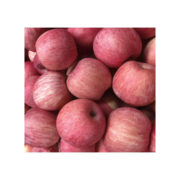 Бесконечное послевкусие экспорт свежих фруктов красные вкусные яблоки fuji из