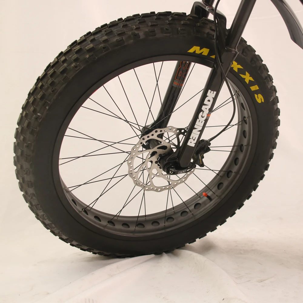 Bafang Automatic Inner Hub 5 Speeds Electric Fat Bike Gates Belt Drive Electric Bicycle 1000W with M620 Dual Batteries Ebike