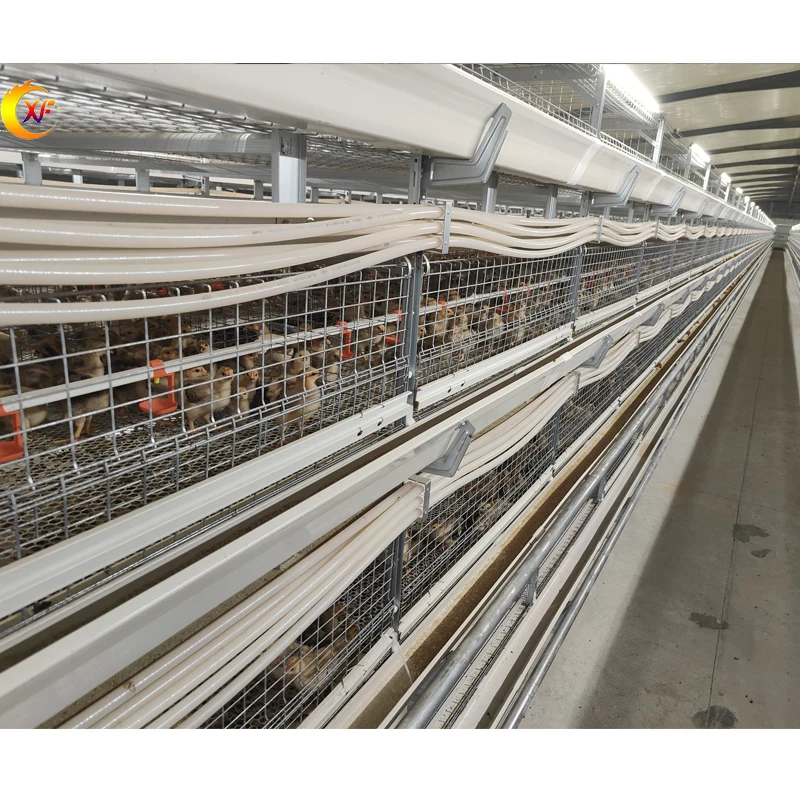 Ручное оборудование для птицеводства типа H продукция автоматическая клетка бройлеров куриная