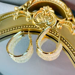 Gold-Plated Copper, 925 Silver Needles Earrings Cut-out Hoop Earrings Fashion Designer High Quality Jewelry Earrings