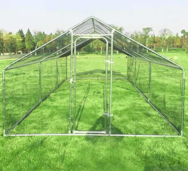 Металл DIY Walk-in курятник/курятник с фиолетовым водонепроницаемым покрытием 10x6 5
