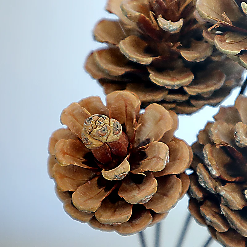Amazon wholesale flowers natural dried pine cone florist supplies for interior home decorative