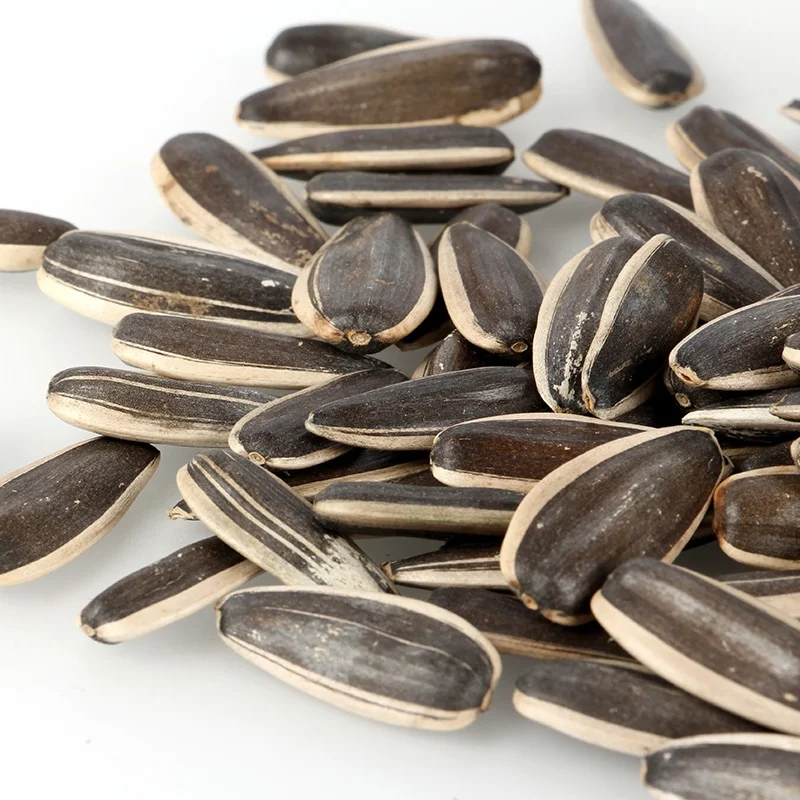 Chinese bulk Hybrid organic white sunflower seeds for planting different types of sunflower seeds