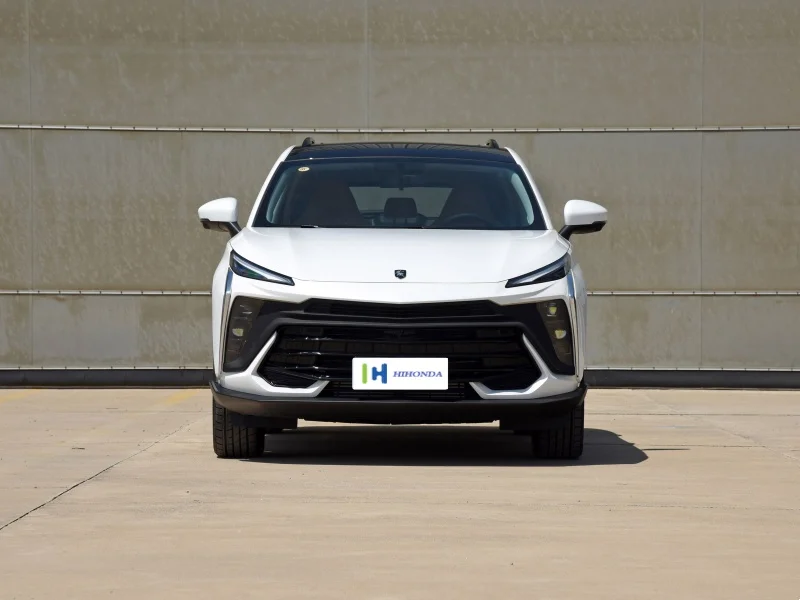 2024 Dongfeng T5 Evo 1 5 T 197Ps L4 Glory Edition для дверей мест внедорожник бензиновые автомобили новый