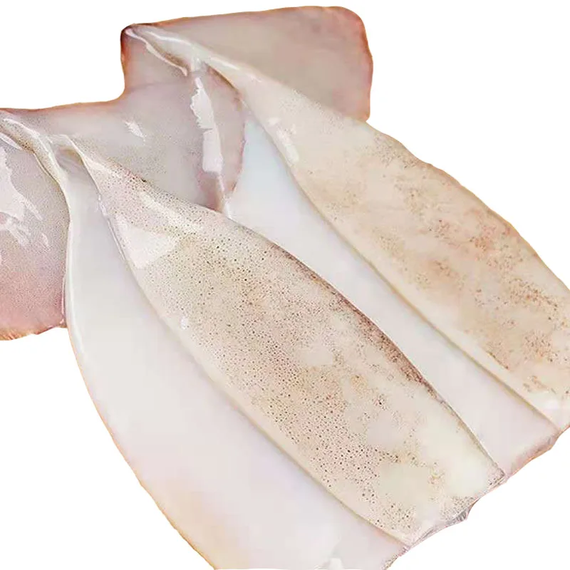Giant Frozen Todarodes Illex Calamary Squid Fillet for exporting seafood