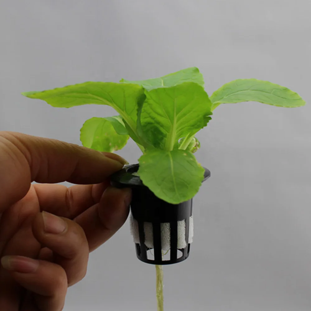 Hydroponics Growing Net Pot Greenhouse Plastic Basket Net Pot Cup