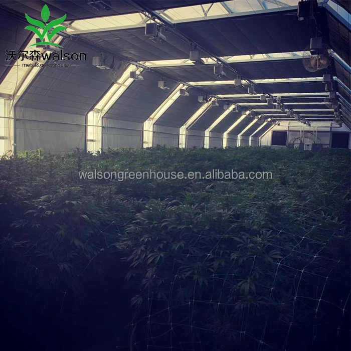 Walson 3 Layer Greenhouse Light Curtain 100% Light Proof Gutter Connected Greenhouse 32x9m Automatic Black Out System Greenhouse