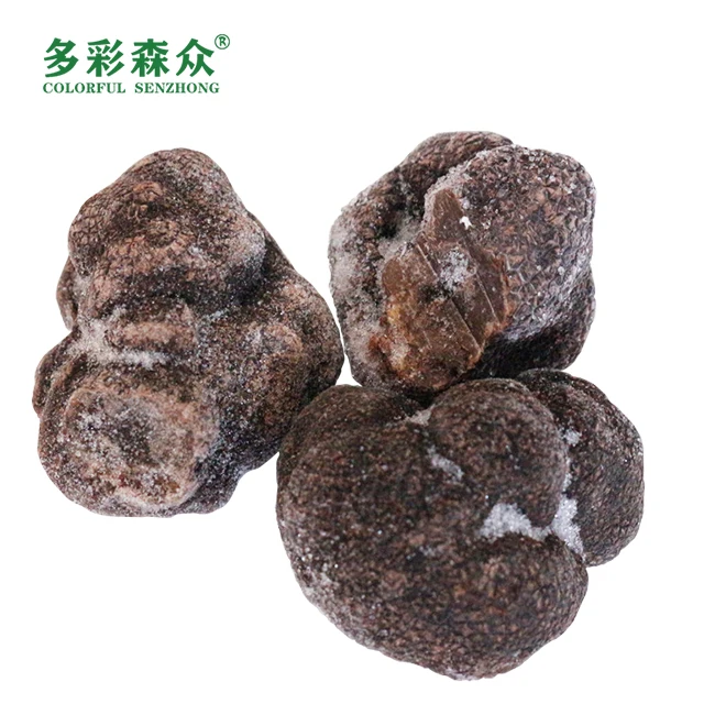 Song lu Health food grade mushroom black truffles Wholesale wild black truffle in Yunnan, China frozen truffle