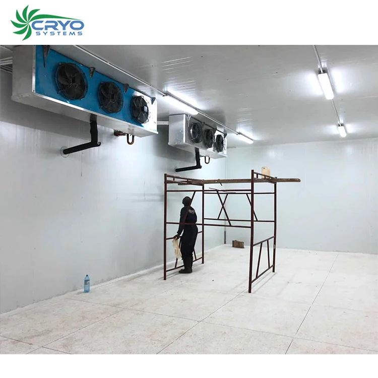 tilapia fish fillets cool storage containers croutons cold storage cold room for fruits