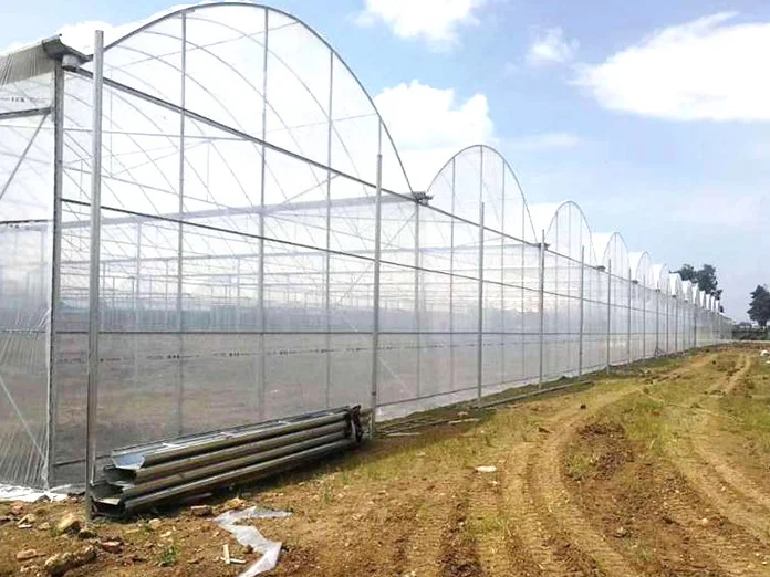 China  plastic  conservatory  ploytunnel winter commercial  chinese tomato/mushroom agricultural plastic film  greenhouses