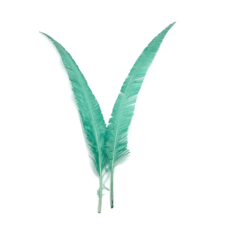 Trimmed 20-24inch Ostrich Nandu Feathers