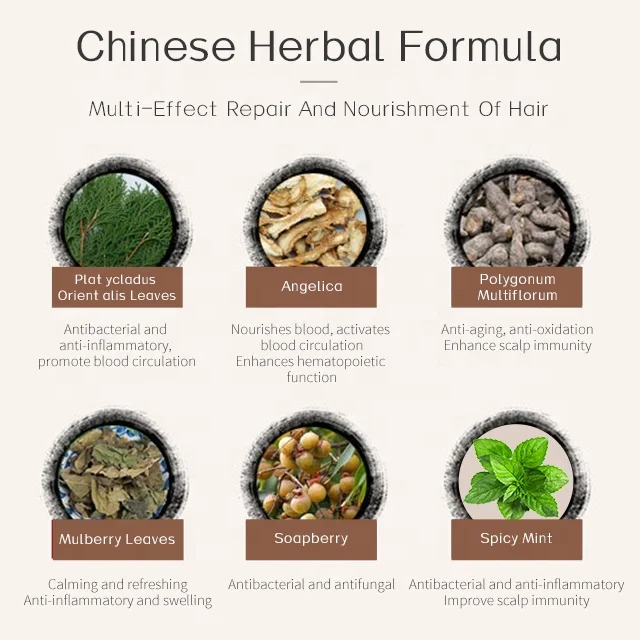 500G High Quality Hair Shampoo Factory In Guangzhou Shampooing Pour Cheveux Plant Extract Herbal Private Label Shampoo Cream