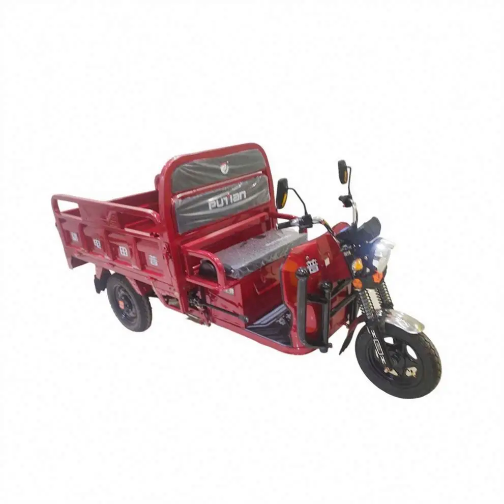 Foldable 100Kg 3 Wheel Electric Tricycle Ice Cream Bike for Sale