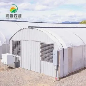Commercial Cheapest Hot Sale Automated Agriculture Poly Tunnel Light Deprivation Greenhouse