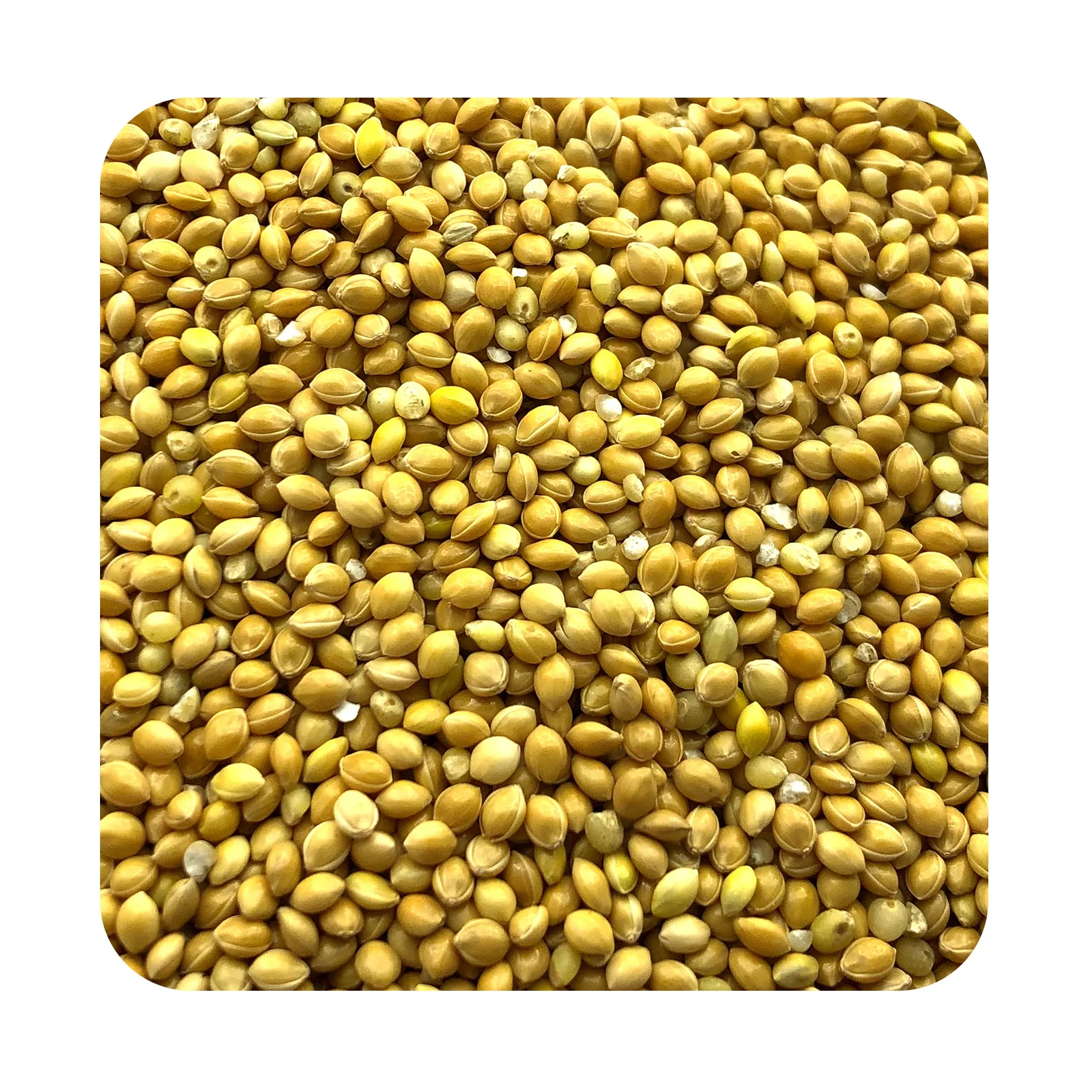 
Great quality organic millet 25kg bags, product of Russia 