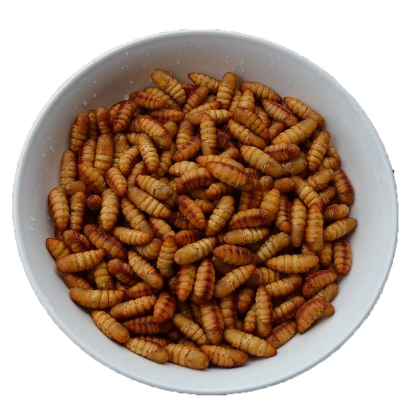 Dried Silkworm Pupae for Animal Feed