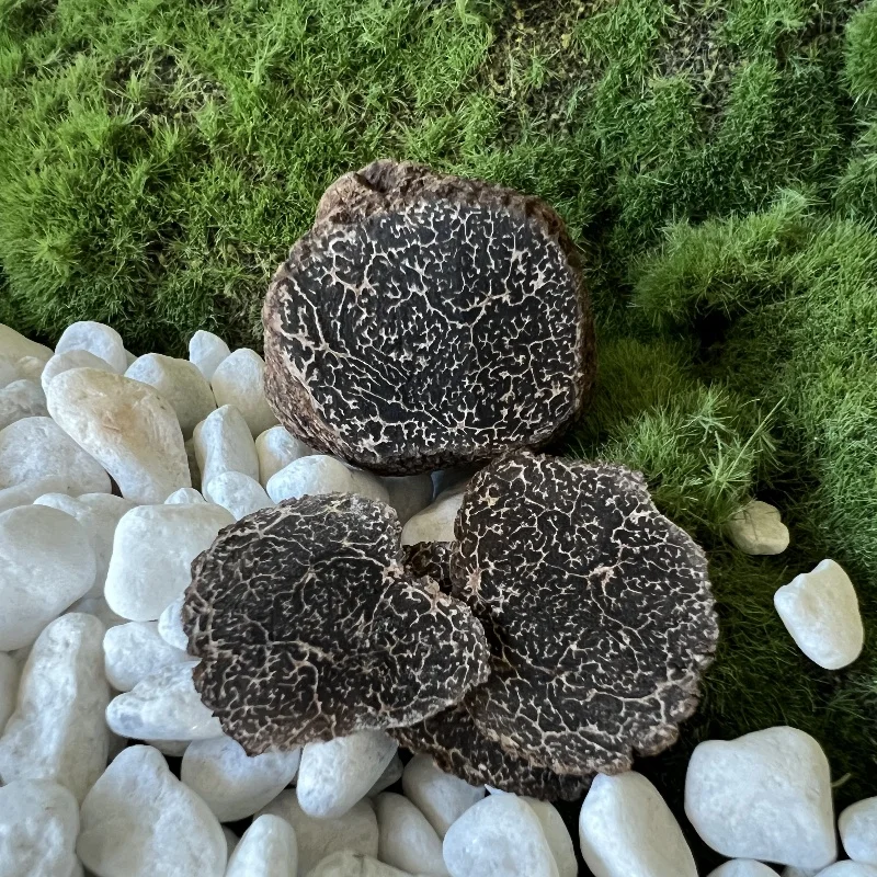 HY06 Chinese Famous Dried Black Truffle Tea For Sale