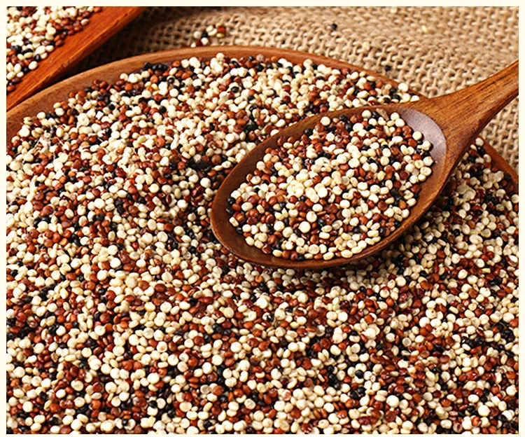 Direct manufacturers selling quinoa Direct manufacturers selling quinoa quinoa seed
