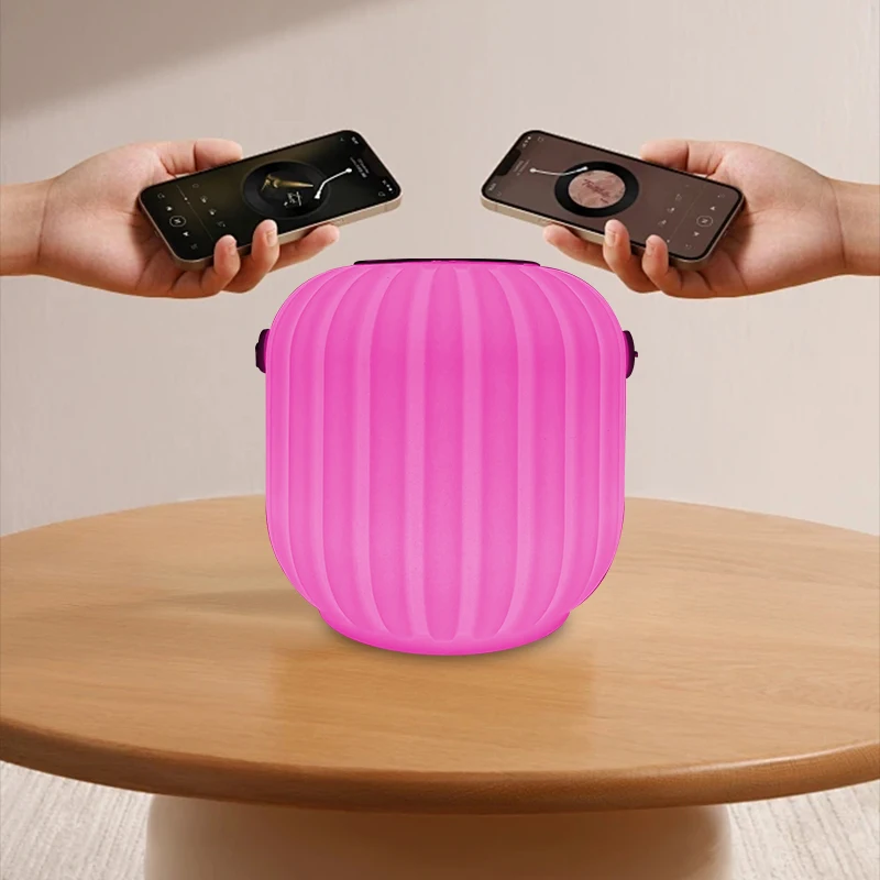 Portable Mini Speaker RGB Led Music Player Box  APP Control Party Speaker