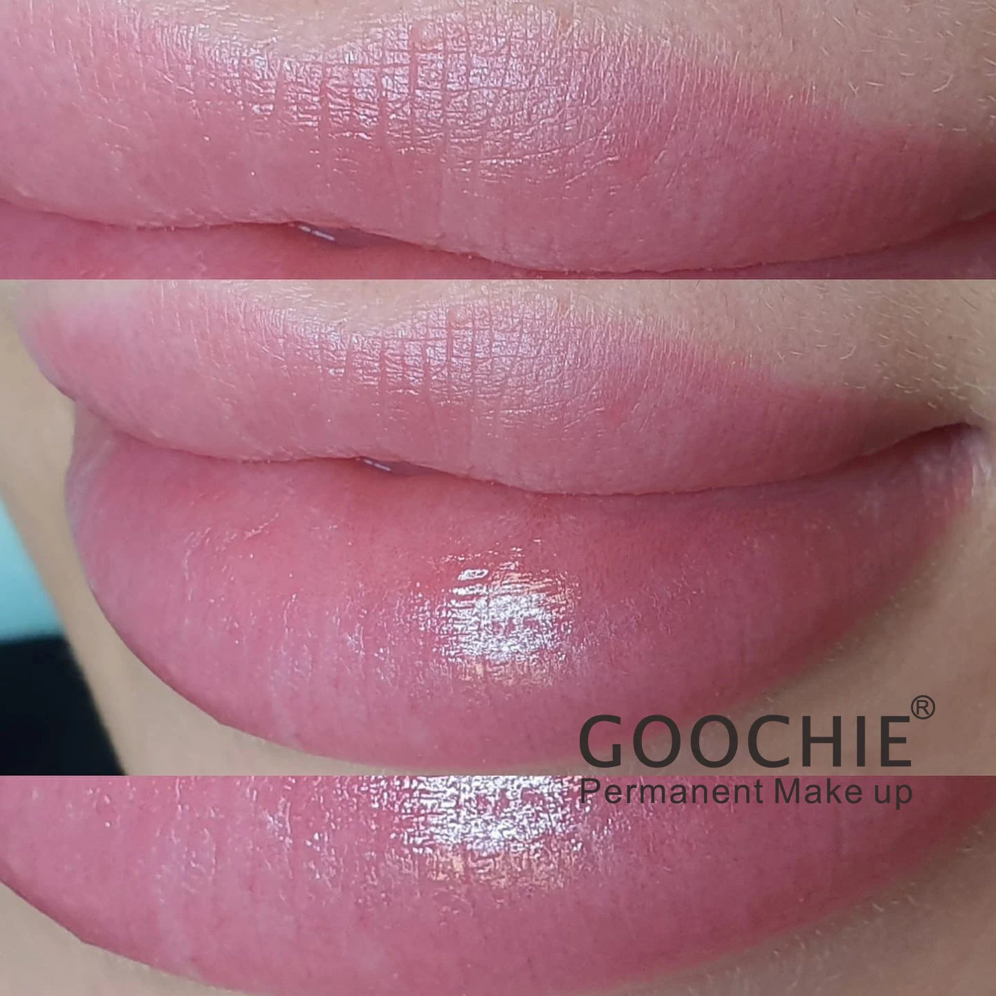 Permanent Make up Machine Goochie m8