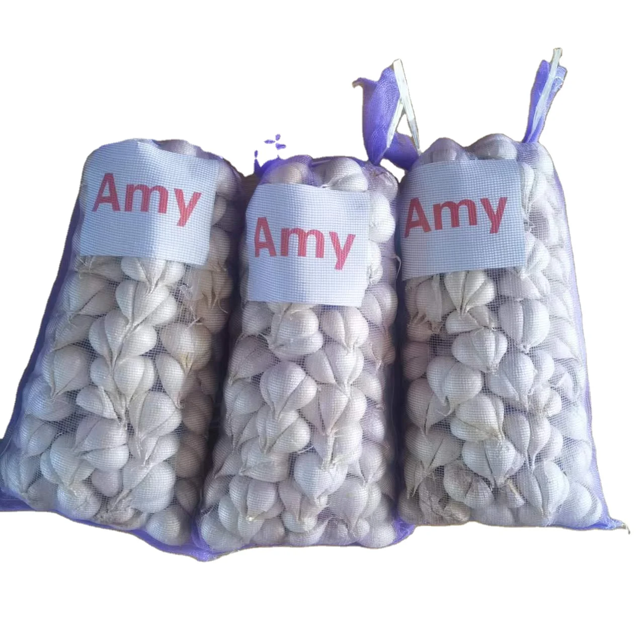 Factory 4-6 Cloves Fresh Garlic Net Bag Packaging Price in November Is