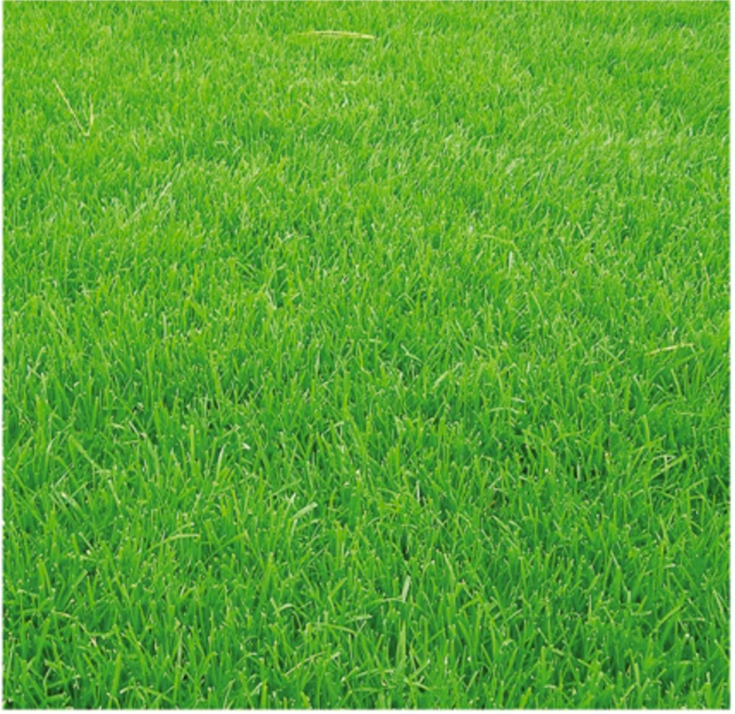 compassarmor Solid color Premium Soundproof Fireproof EPDM granules Underlayment Simulation Functional Lawn