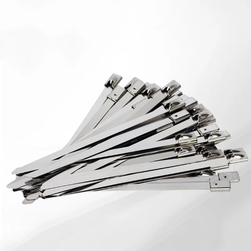 BRISTAR Hot Sale Factory Reusable Adjustable Sus304 7.6Mm Hook And Loop Cable Ties Wire Zip Ties