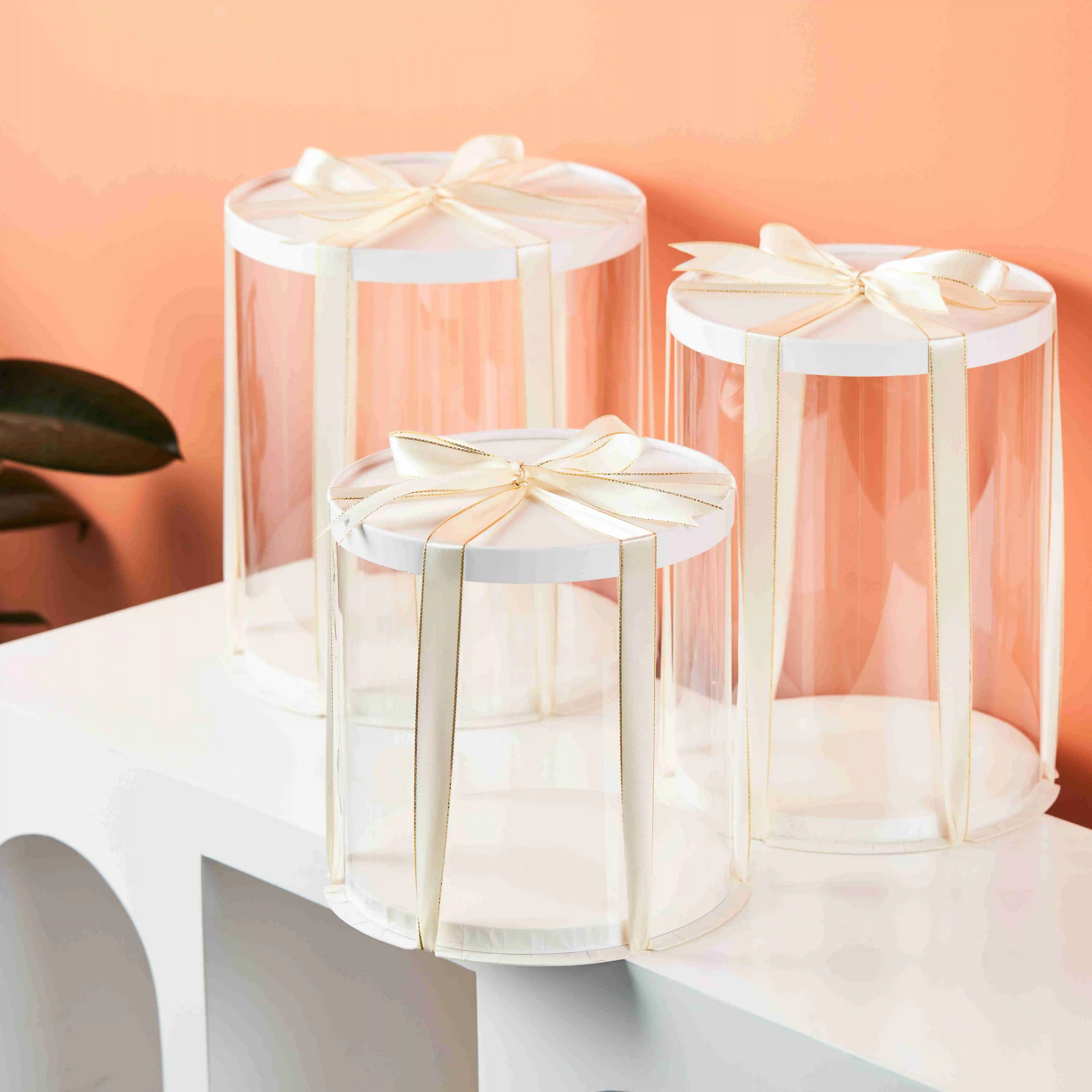 6 8 10 Inches Wholesale Custom Multi-size Transparent Tall Cake Boxes Bakery Clear Round Cake Box Packaging