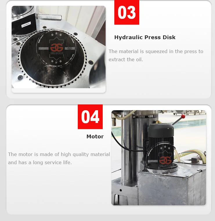 Gelgoog Saudi Arabia Hot And Cold Oil Extraction Grape Seed Canola Oil Press Machine