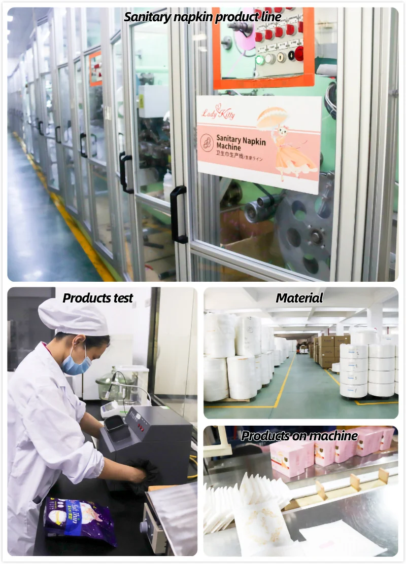 Lady Kitty OEM Disposable Period Panty Heavy Flow Menstrual Panties With Sanitary Pad For