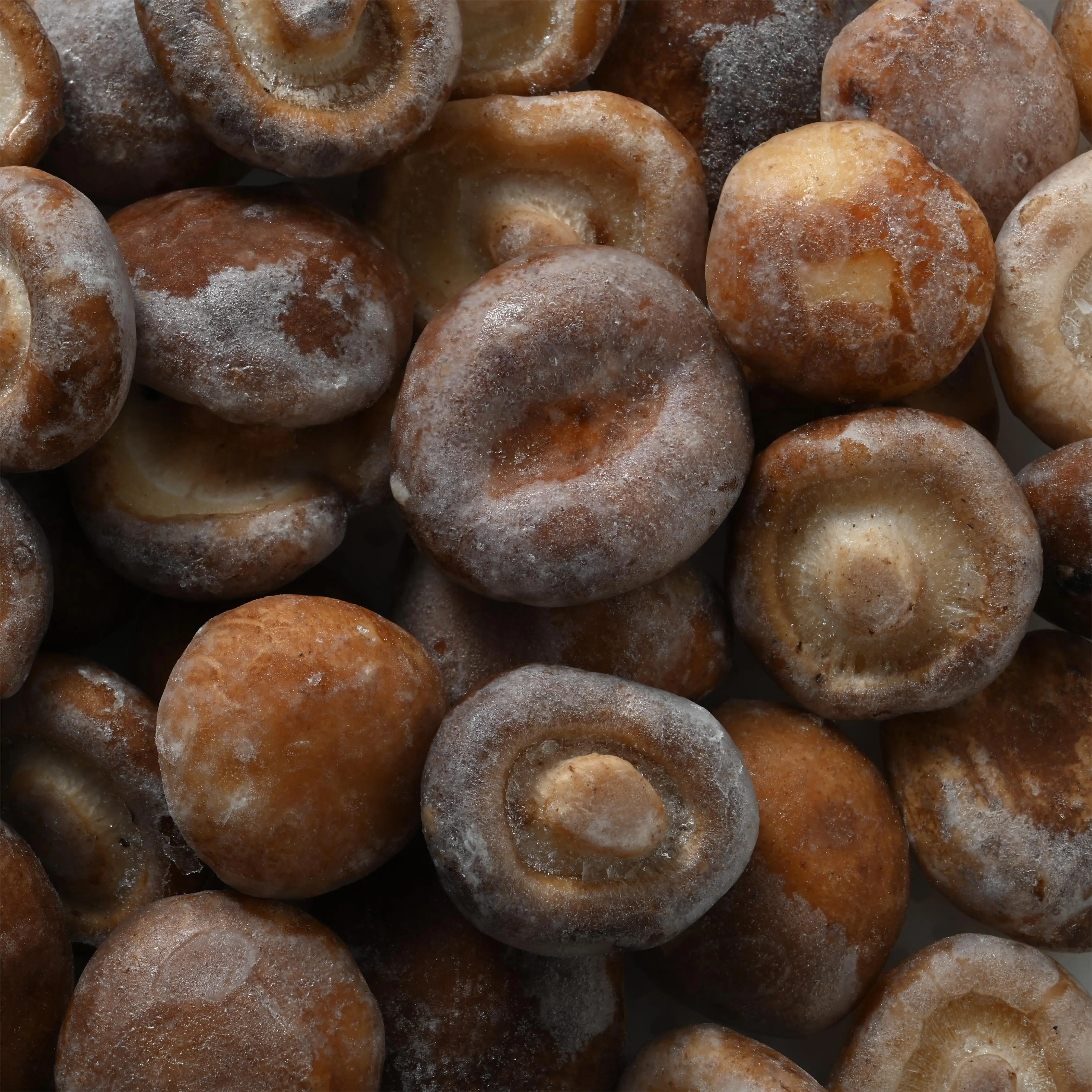 factory direct export of frozen shiitake mushroom wholesale frozen  shiitake mushroom