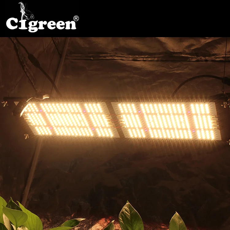  Новейшая светодиодная осветительная панель cigreenlight 630 Вт униформа PPFD cigreenBeast Pro для гидропонного выращивания
