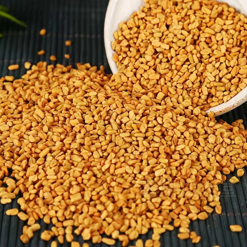 bulk spices Fenugreek Seeds 100% natural Premium Fenugreek Seeds