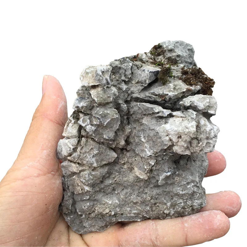  Аквамариновый Ландшафтный декор дракон аквариум Seiryu