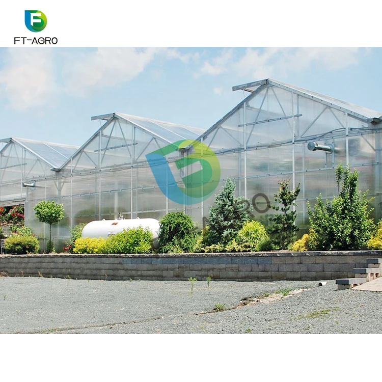 Greenhouse PC sheet vegetable production complete  greenhouses china