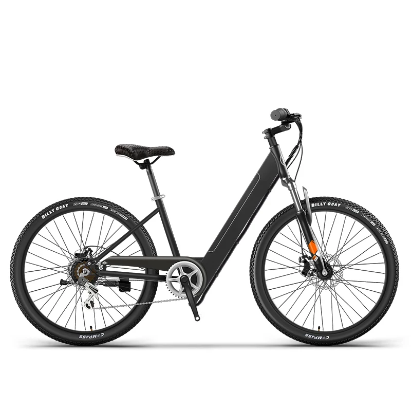 tianjing adult electric city bike 36v 250w 10.4ah