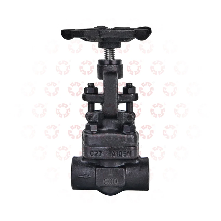 Carbon steel DN25 A105 C27 Industrial Grade needle angle valve shut-off valve bellow sealed globe valve