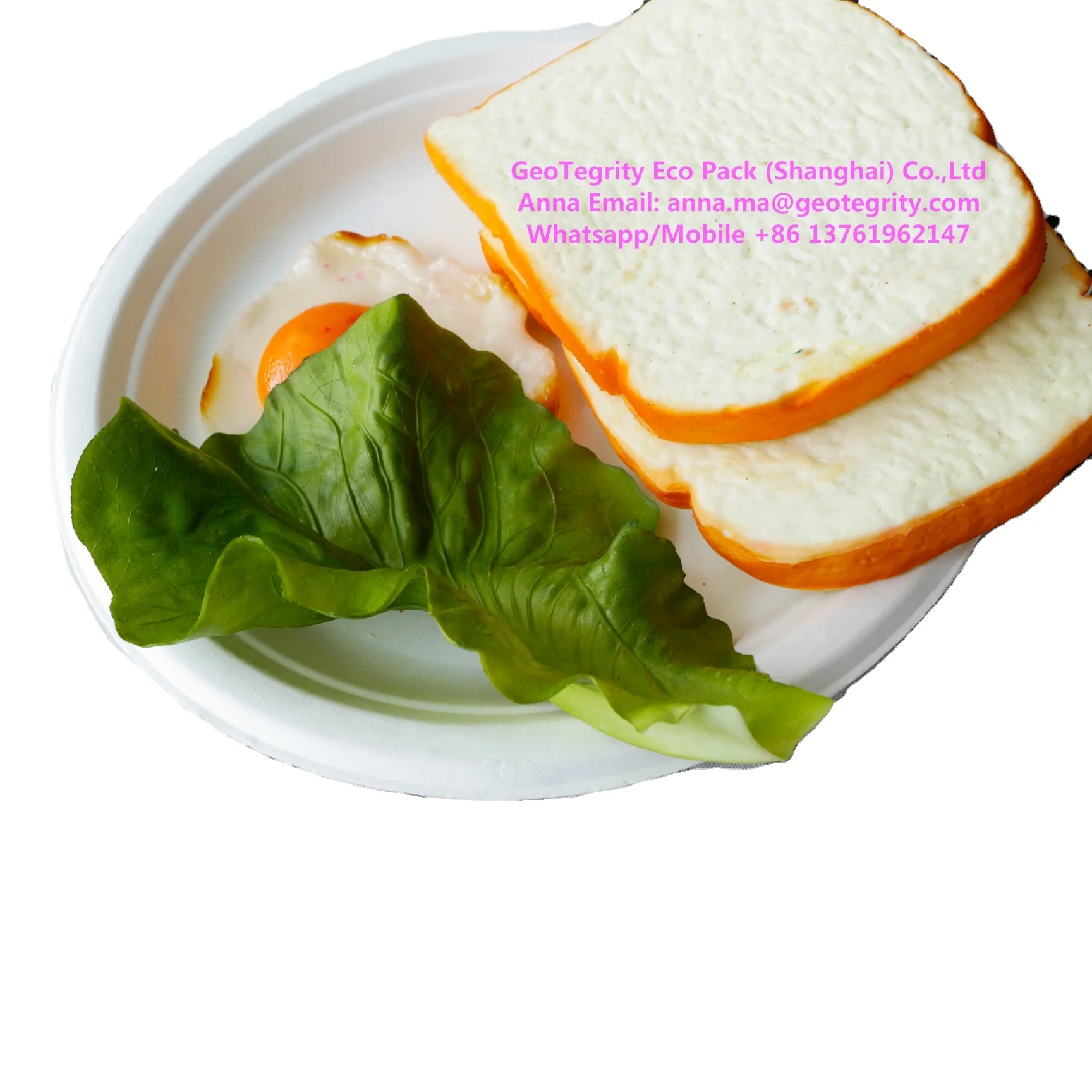 biodegradable compostable renewable sugarcane resources single use catering 23cm 9inch plates Polpa di cellulosa piatti vassoi