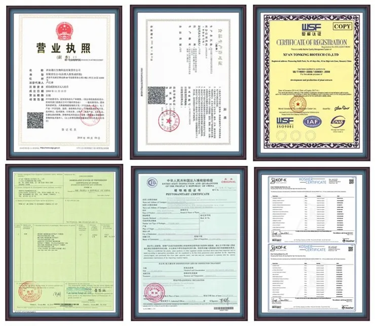 
Tonking Supply High Quality Chromium Enriched Yeast Powder 