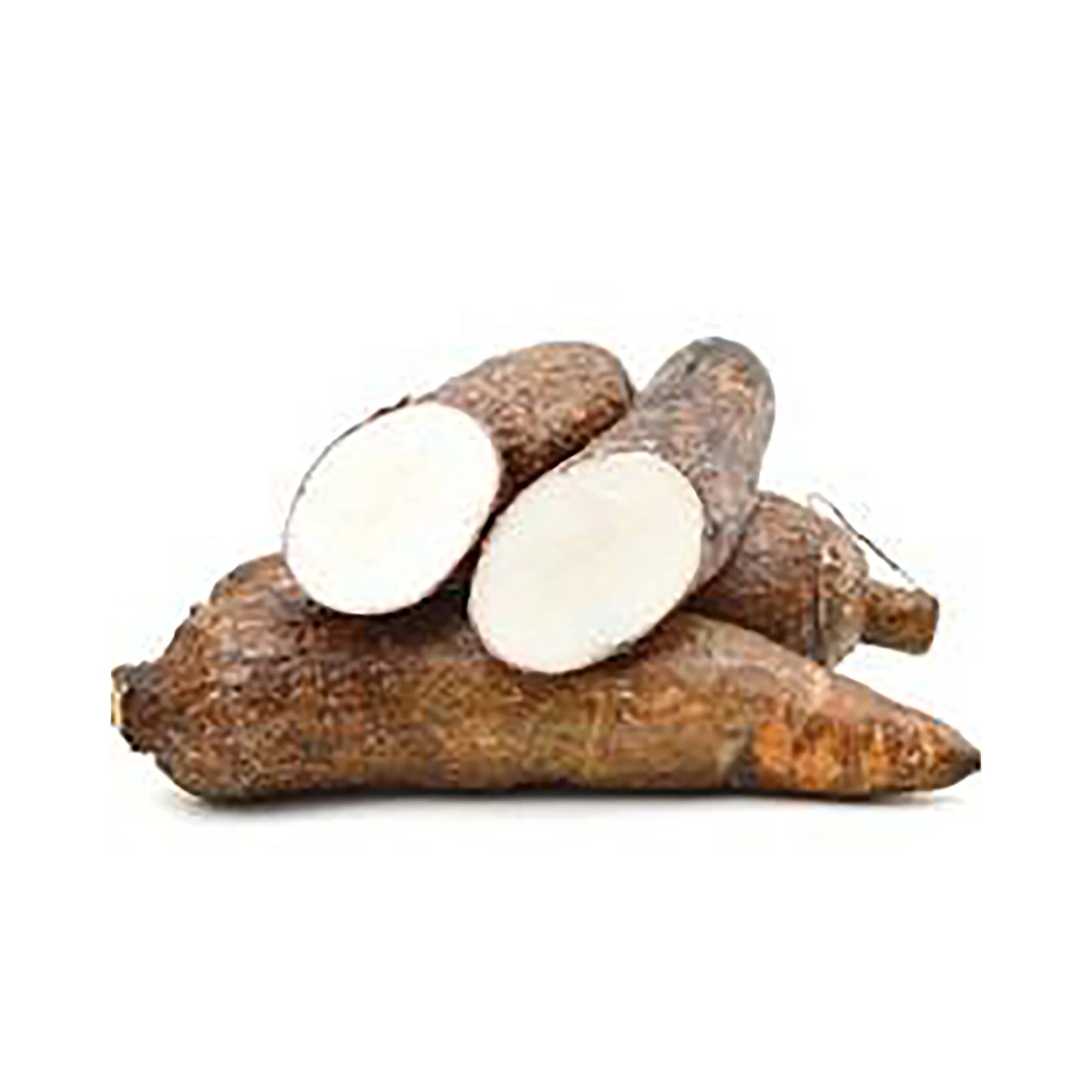 
Super Quality Fresh Cassava In Large Quantity For Market Sale 