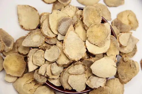 High Quality Sand Ginger / Rhizoma Kaempferiae / Zedoary Root Powder