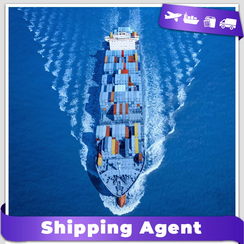 fcl and lcl cheap ddp shipping agent sea freight from china to canada vancouver/prince rupert/campbellton/quebec/toronto port